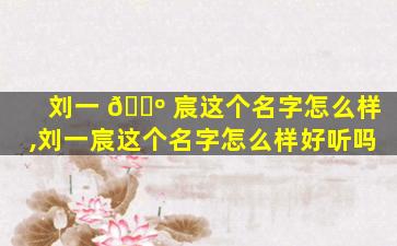 刘一 🐺 宸这个名字怎么样,刘一宸这个名字怎么样好听吗
